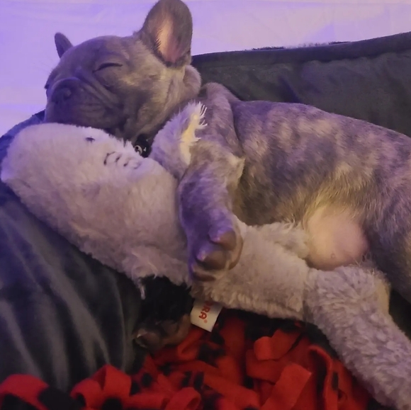 Meet your Posher, Trish - Picture 4 of 5